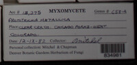 Image Associated With the Occurence